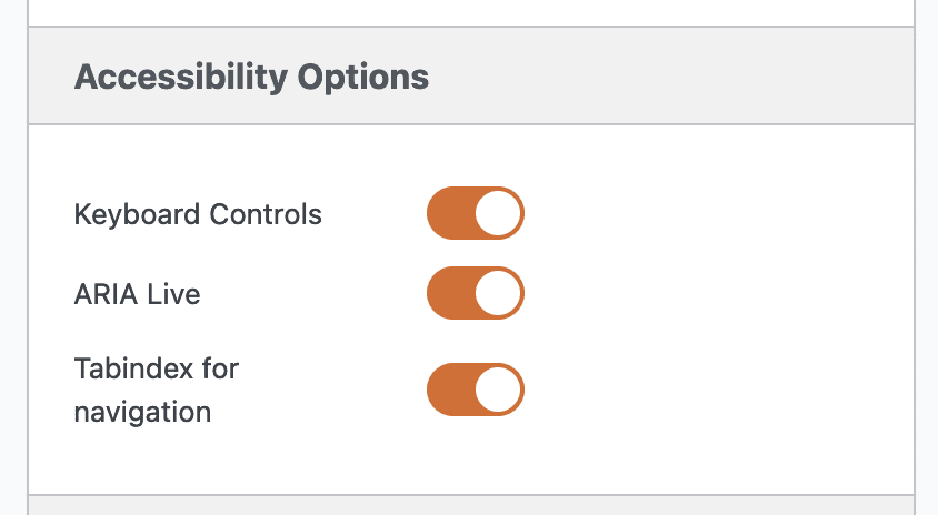 Accessibility Options in MetaSlider