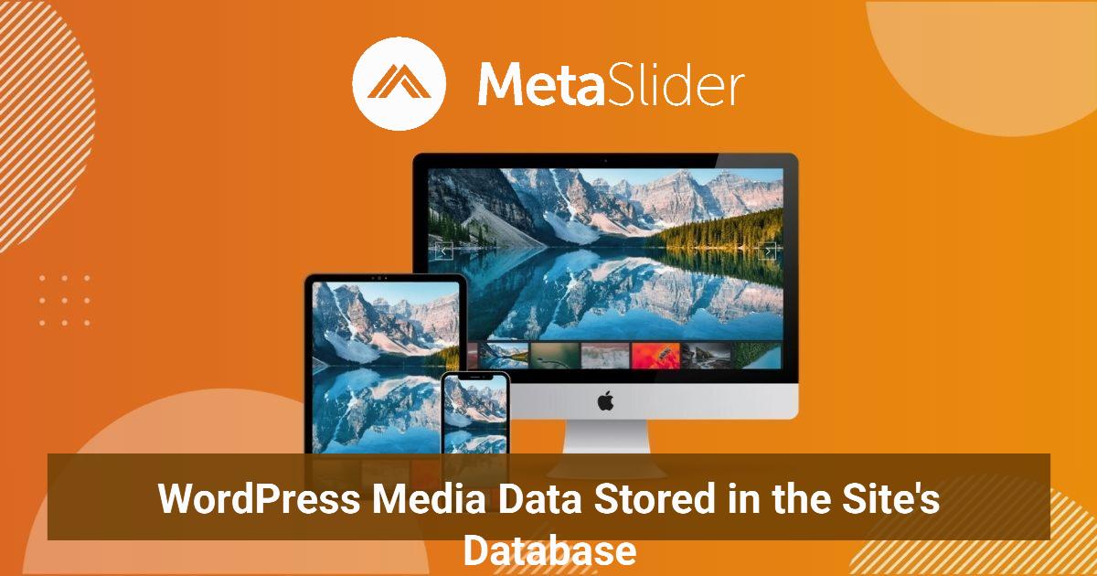 WordPress Media Data Stored in the Site's Database