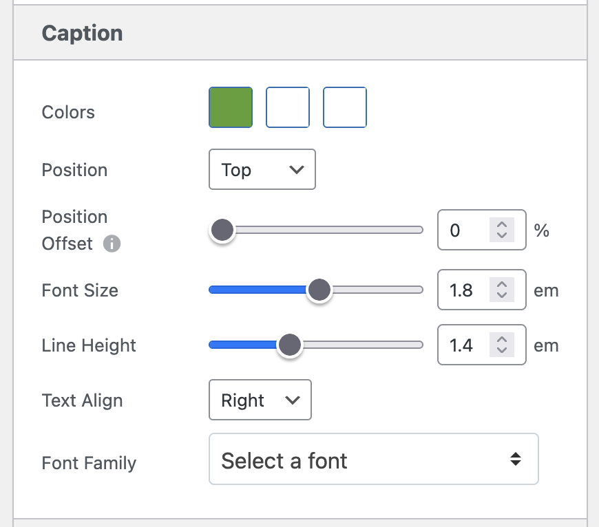 Caption modified in theme editor