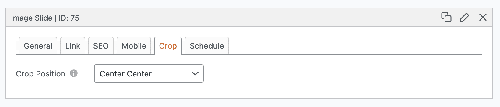 Image Crop Options - MetaSlider