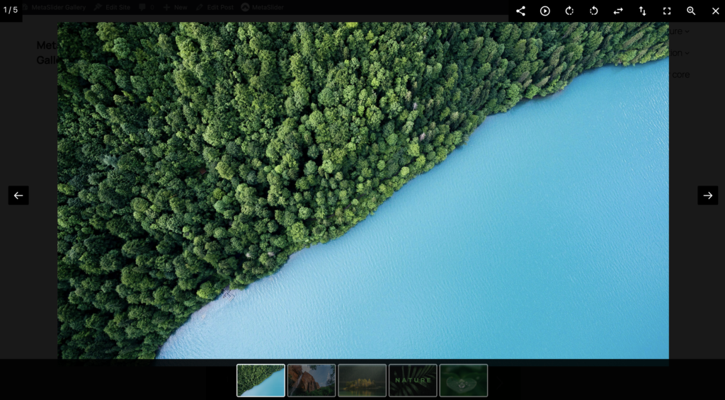 Slideshow plus gallery example