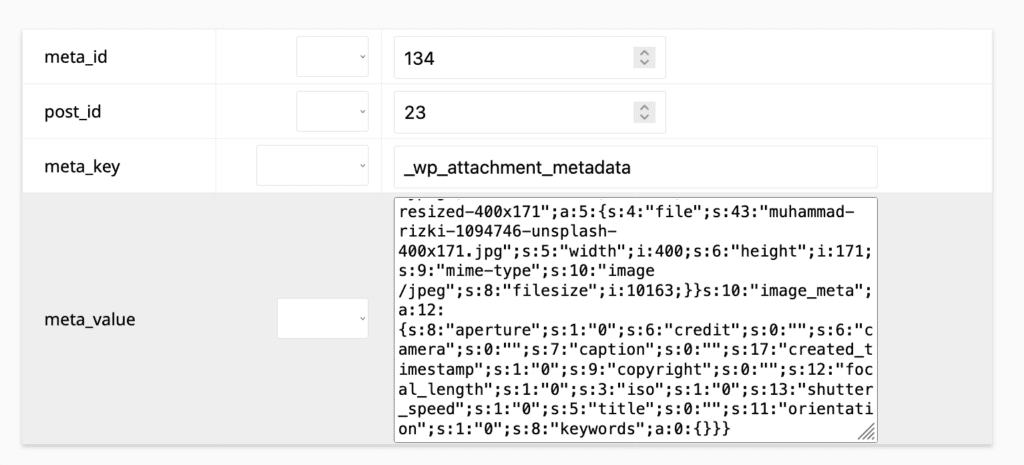 WordPress Media File Settings in the Database