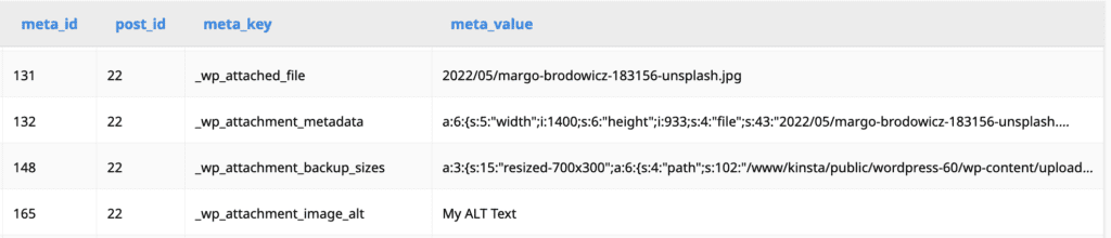 WordPress Media File Settings in a Database table