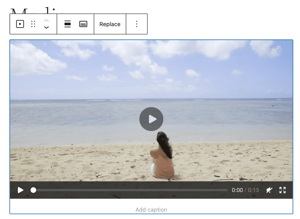 WordPress video File Types