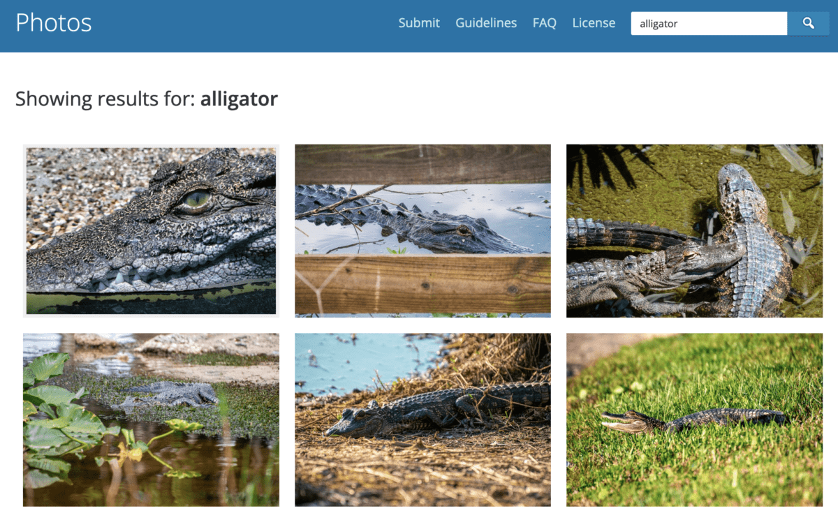 WordPress Stock Photos - 5 Free Stock Photo Websites