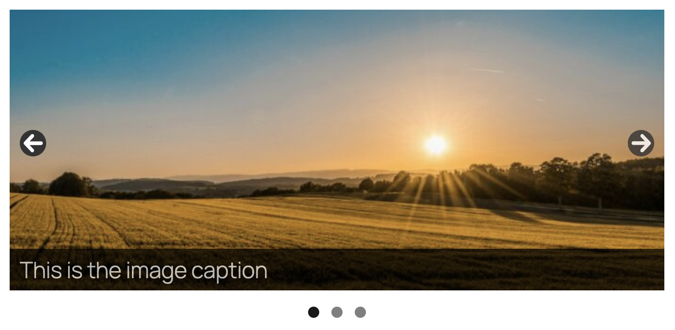 Themes Available for Slideshows - MetaSlider