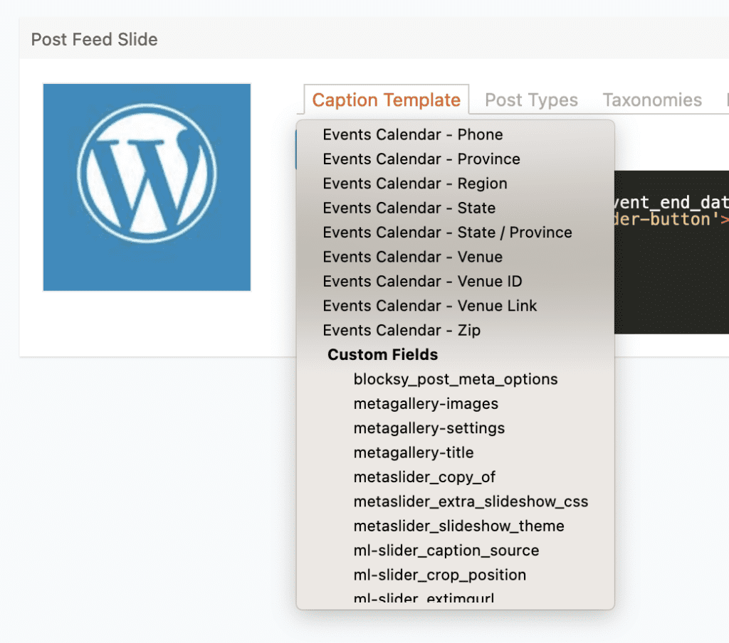 Custom fields and MetaSlider slideshows