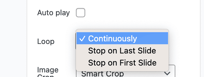 MetaSlider looping options