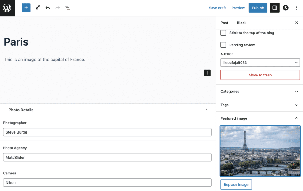 Advanced Custom Fields in a WordPress post