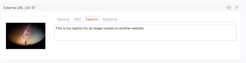 External URL captions