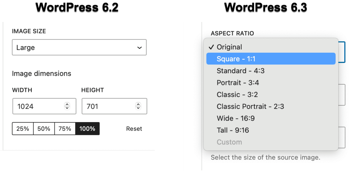 how-to-use-aspect-ratios-for-wordpress-images-metaslider