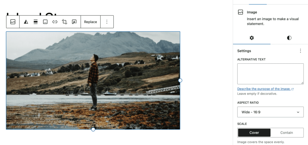Replacing a WordPress image with an aspect ratio 