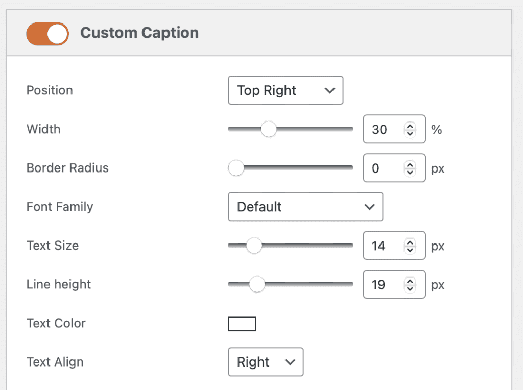 Custom captions in MetaSlider