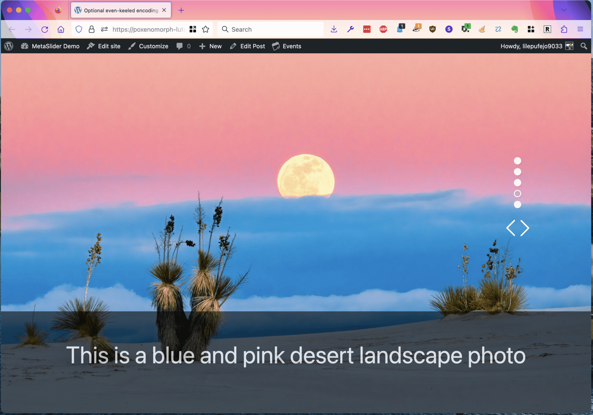 How to Create a FullScreen Slideshow with MetaSlider MetaSlider