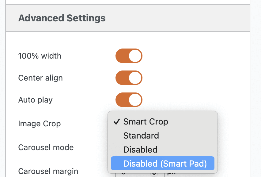 Disable the Smart Pad option in MetaSlider