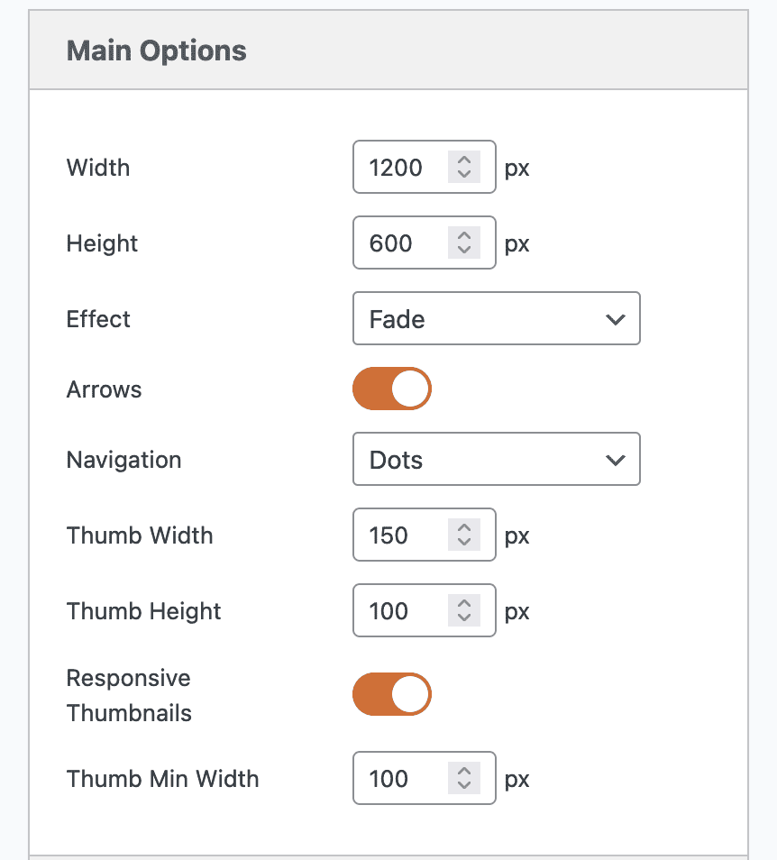 Image slide Main Options