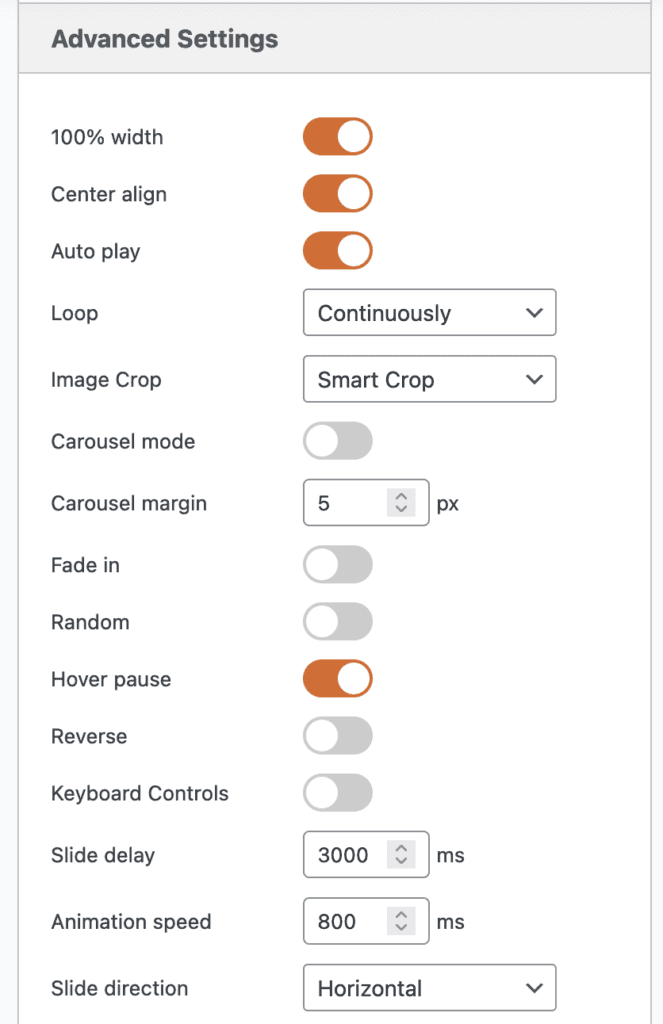 Layer Slider advanced options