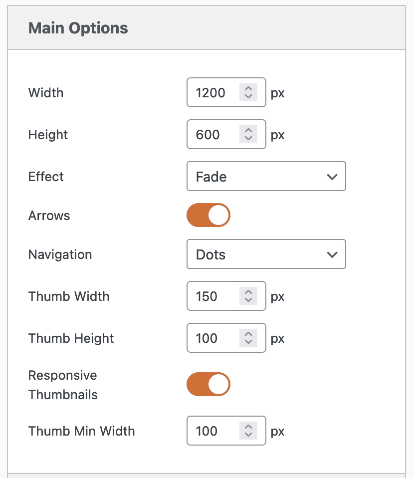 Layer Slider main options