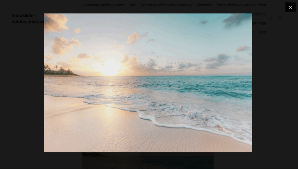MetaSlider image lightbox
