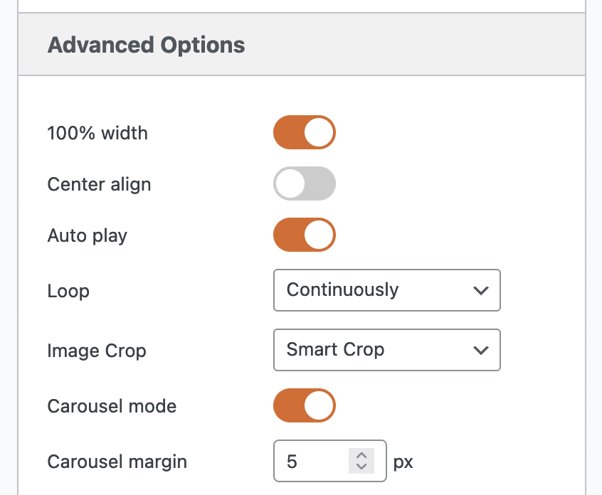 Options for MetaSlider carousel