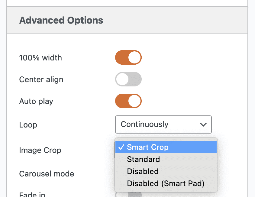 Image Crop options in MetaSlider