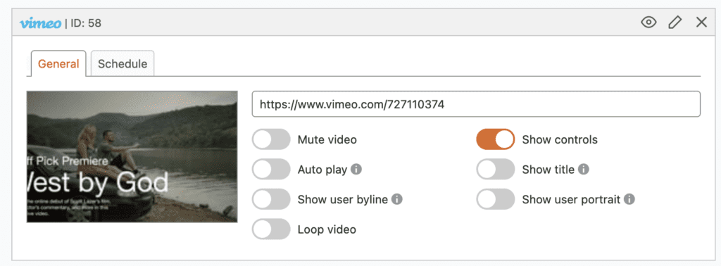 Vimeo controls