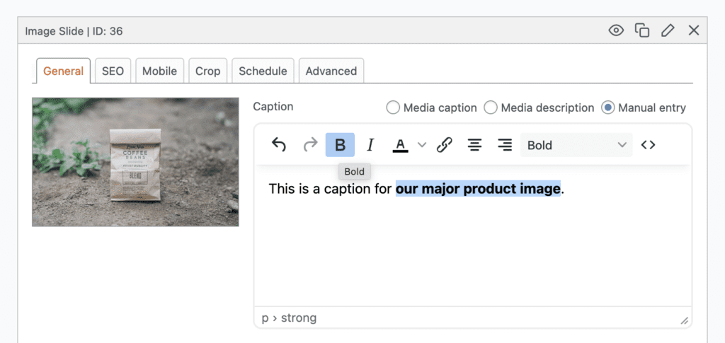 New caption editor for MetaSlider slides