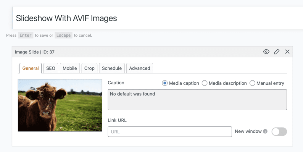 AVIF Images in WordPress