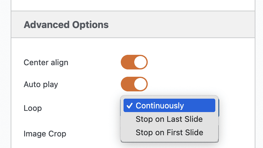 Loop continuously for normal slideshows