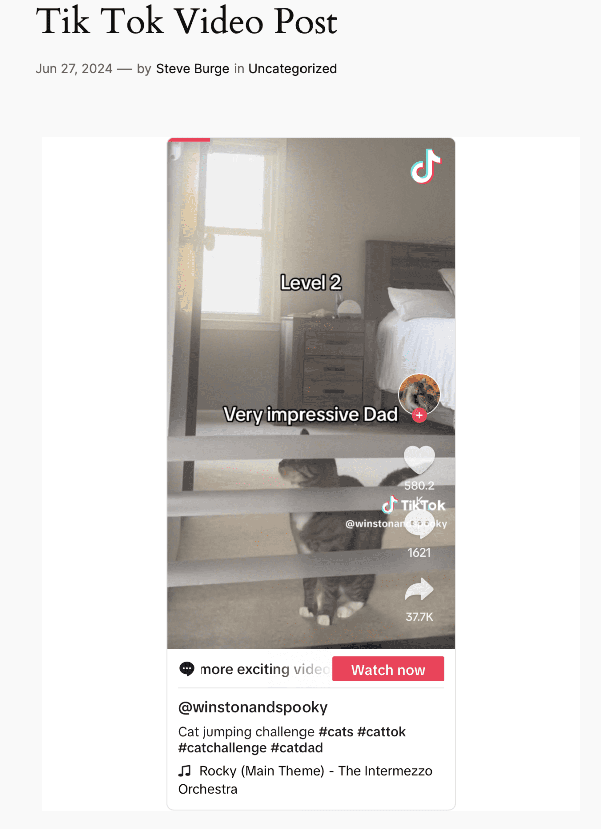 TikTok Ads for WordPress Websites