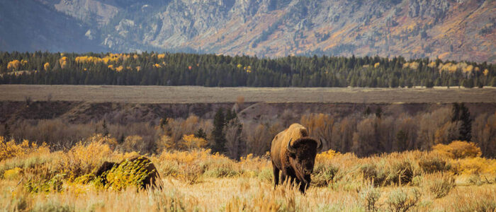 tim-peterson-1099515-unsplash-1