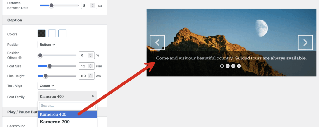 Choosing custom fonts for a MetaSlider slideshow