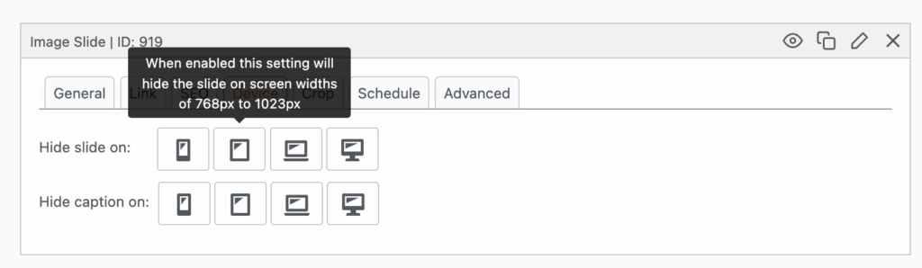 Device tab in MetaSlider with tooltip