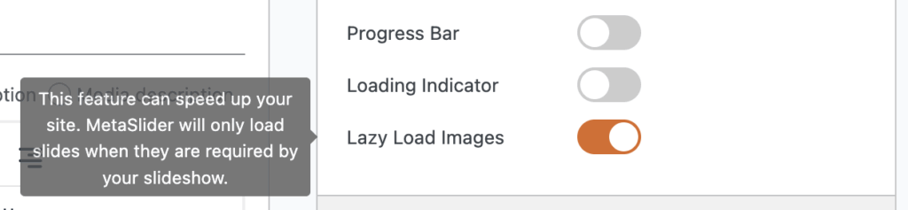 MetaSlider lazy load