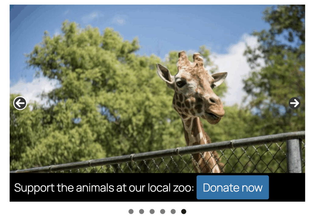 Zoo donation slideshows
