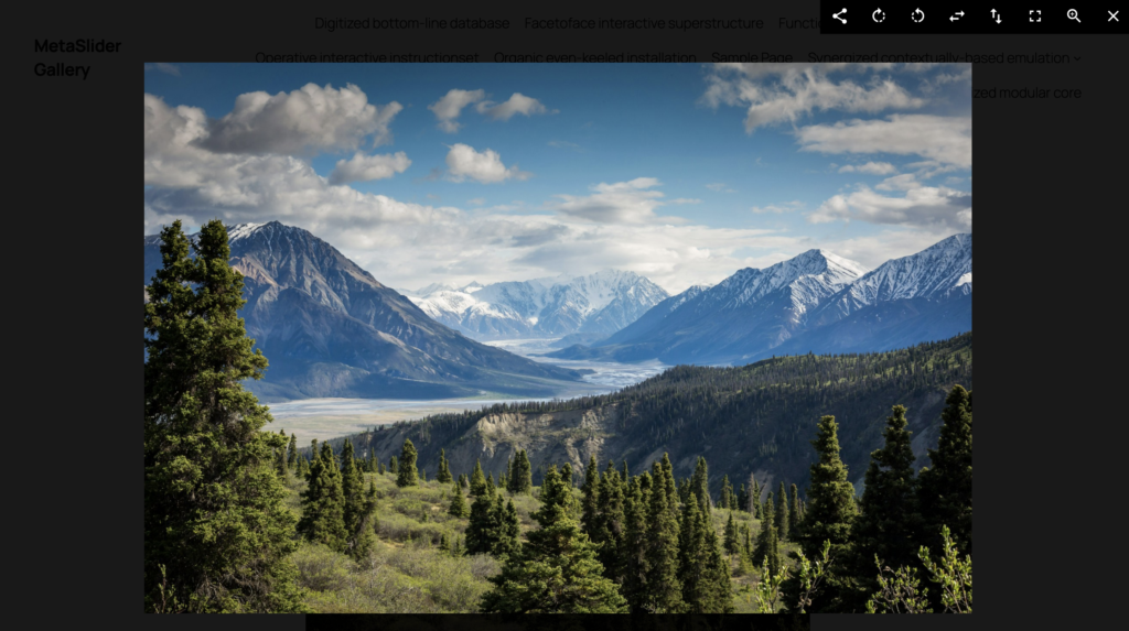 Pro features MetaSlider Gallery