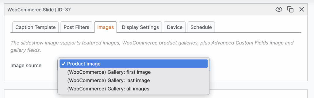 WooCommerce image options