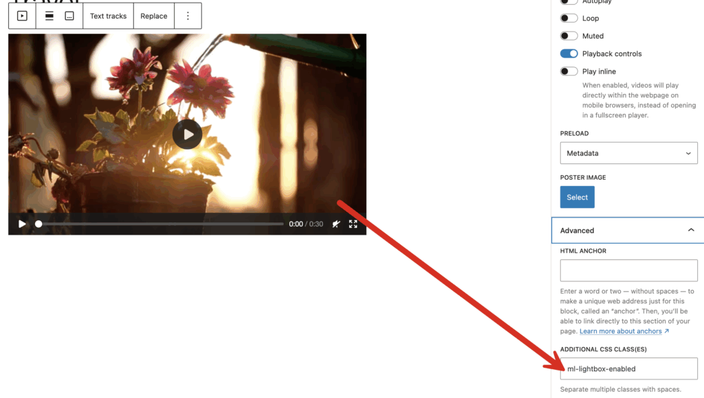 Additional CSS classes