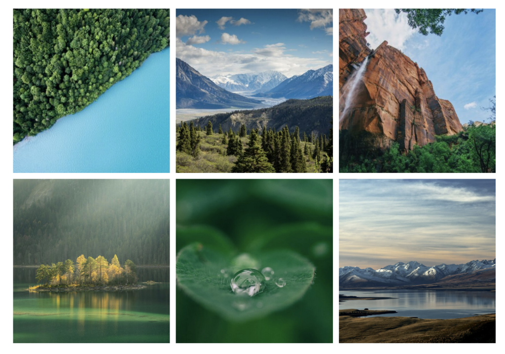 Grid layout for
