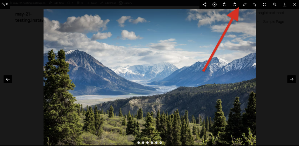 Features in the MetaSlider Gallery Toolbar