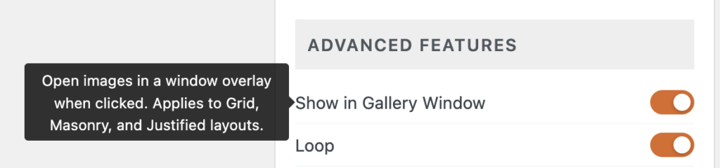 Disable the gallery window 
