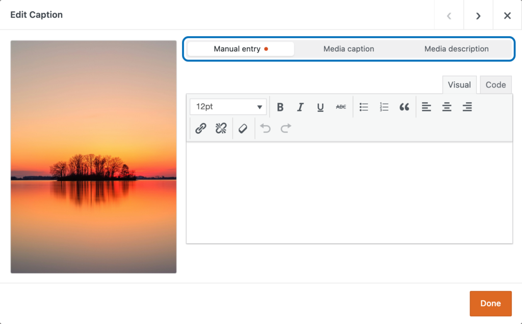 Caption editing in MetaSlider Gallery