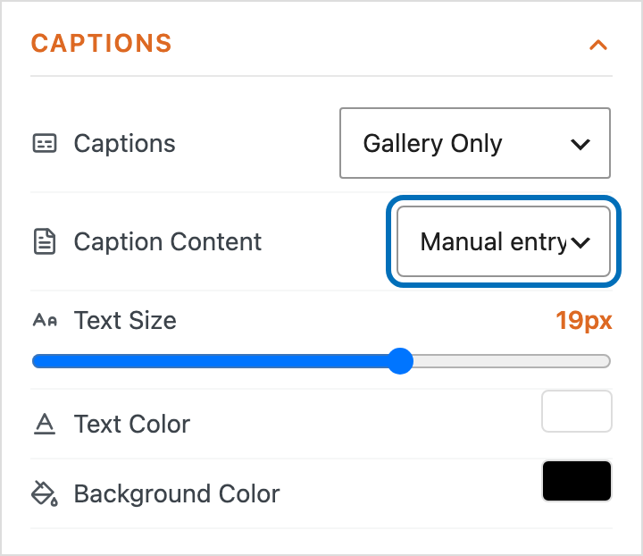 Caption options in MetaSlider Gallery