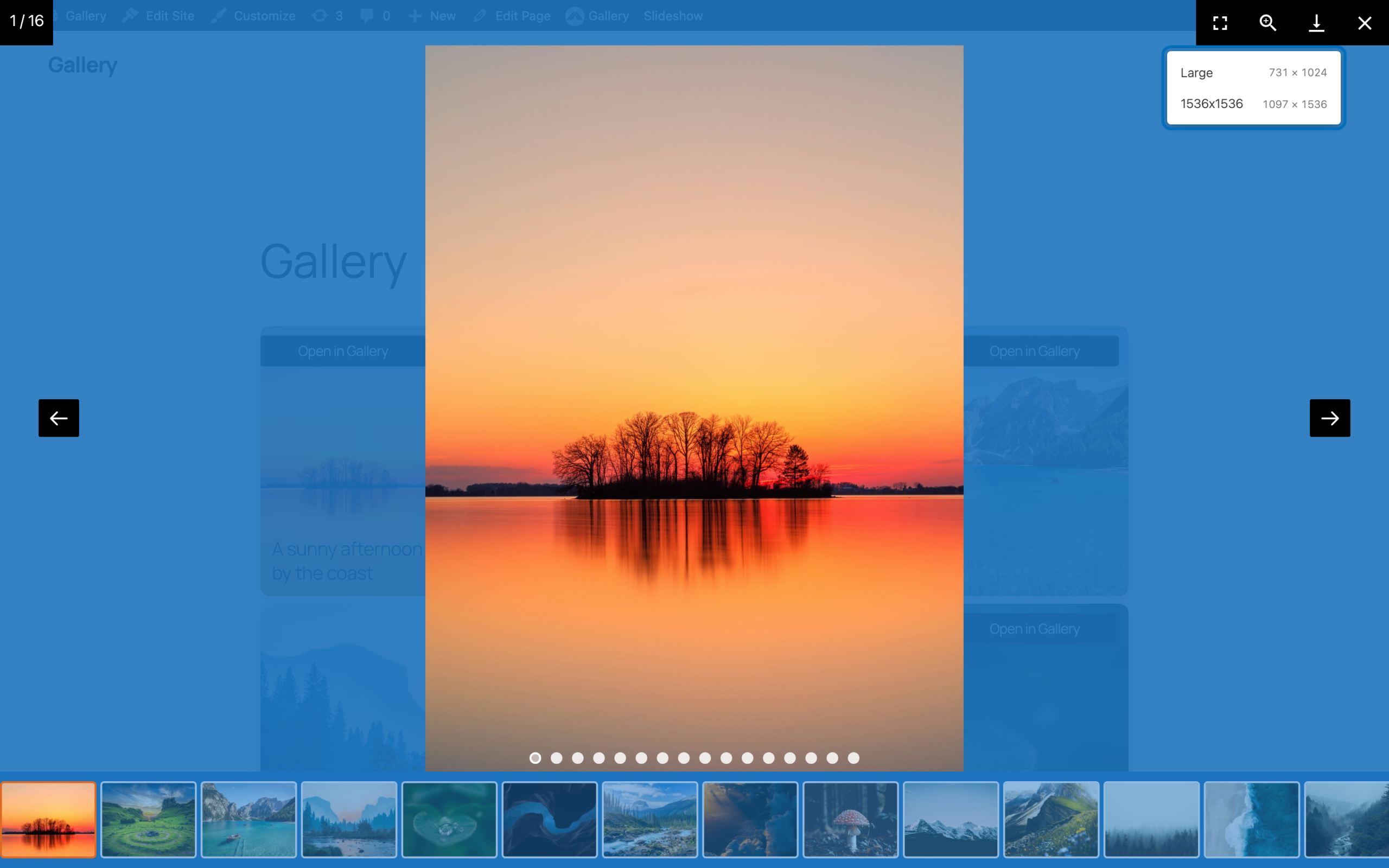 Download size menu open in the gallery window