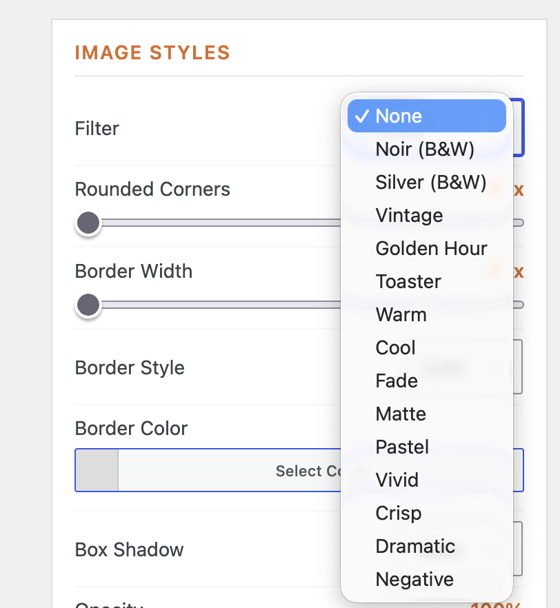 Image filters in MetaSlider Gallery