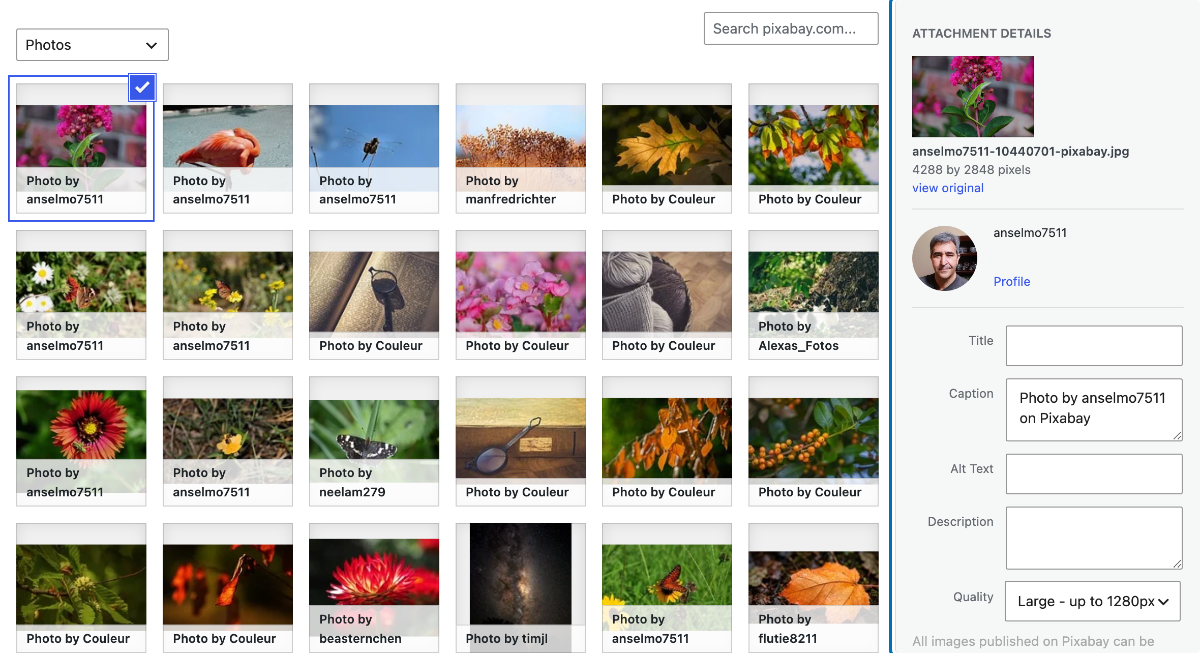 Photo details and quality setting after selecting a Pixabay photo
