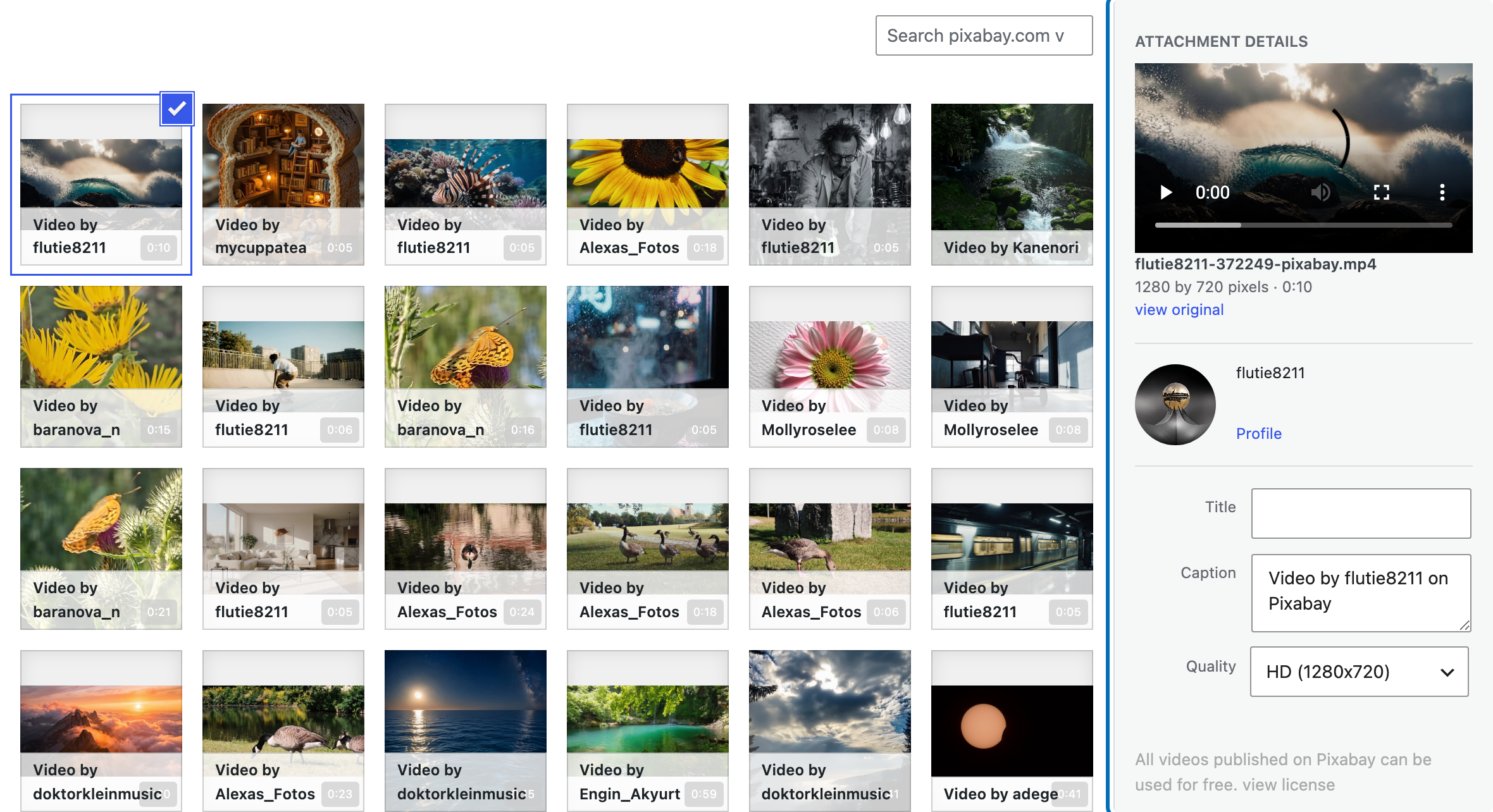 Video details and quality setting after selecting a Pixabay video