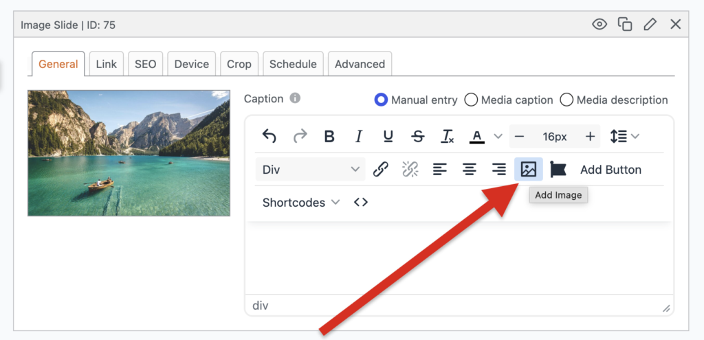 Image improvements in MetaSlider captions