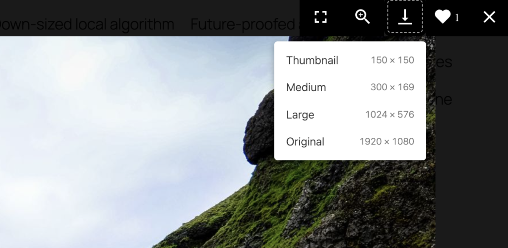 Visitor gets a choice of which image size to download