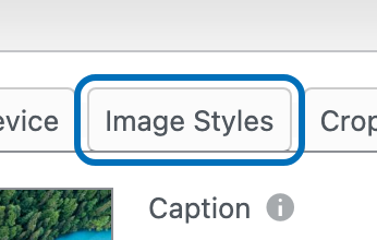 Image Styles tab on a slide